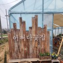 어쩌다꽃집 | 서산 '어쩌다 꽃집' : 봄 향기 가득한 특별한 공간 이야기