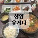 청양 | 청양 밥집 청양우거디 후기