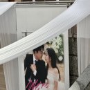 인셀럽 | 지니웨딩09. 셀럽앤어셈 본식 후기 (+인유어모먼트 아이폰스냅, 라봄그라피 서브스냅, dvd 룩어라운드...
