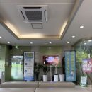 신터미널약국 네이버블로그