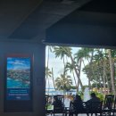 외길농장 | 하와이여행 : 4~5일차 (쿠알로아 랜치, 파인애플농장, 라니아케아 비치, 치즈케이크팩토리, 다이아몬드...