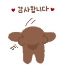 블랙베어투어 이미지