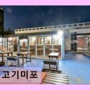 물고기 미포 이미지