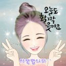 초대받은 정원 텔 늘봄 이미지