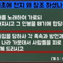 새생명공동체 Daum카페