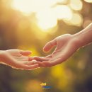 보람세탁 이미지