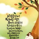 샬롬장식 이미지