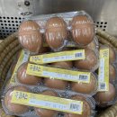 봉동앤김밥 이미지