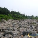 태우