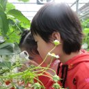 예진가족농장 이미지