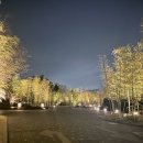 꽃다실 | 나고야 여행 ep 11. 호텔 인디고 이누야마 우라쿠엔 가든 2박 3일 후기