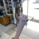 모닝글로리 군산대점 네이버블로그