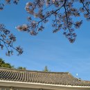 왕인박사유적지 봉선대 이미지