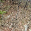 이재수한의원 이미지