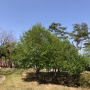 세라젬 양산범어점