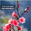 대림역중앙행정사 이미지