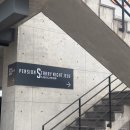 스테리나잇제주 이미지