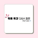 오늘은 홍어 묵자 | 11월 셋째 주 일기조각 : 그걸 매번 해결한 것도 너
