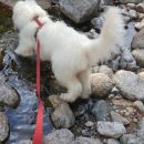 별무리 민박 이미지