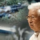 "세월호 실소유주 유병언 회장이 남긴 황금빛 건물"..27년 만에 무너지는 '흉물 병원'의 정체 이미지