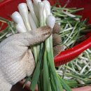 여주식당 | 여주 여내울 식당 후기 — 맛이 쵝오!