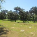 부여(백제)-06 이미지