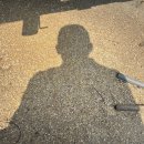 횃대둥우리 이미지