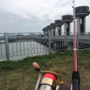 평택호관광단지 이미지