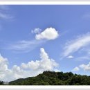 똘래랑스 이미지