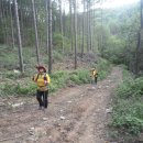 대관령마루길 이미지