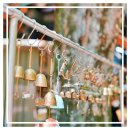 제주애견학교 이미지