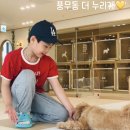 더누리개 | 오랫만에 방문한 더누리개 애견카페에서 힐링한 후기