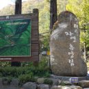 힐링(장태산) 이미지