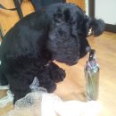 러블리 몽몽 이미지