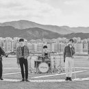 엔 티브이데일리