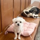 짱아미용실 이미지