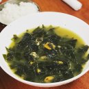 제주감귤 70-1호 태양광발전소 | 제주 힐링 3일(2018년)