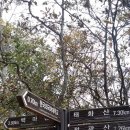 정광슈퍼 이미지