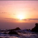 삼척명태찜 이미지