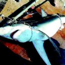 동삼1동-5 이미지