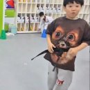 경희대 정 태권도 이미지