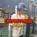 야구연습장 | 광주 타이거야구연습장 화정점, 아이와 즐기는 실내 배팅연습장 후기