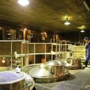 매일관광주식회사 이미지