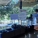 여주 카페 추천 | 내돈내산 여주 베이커리 카페 빵명장 후기