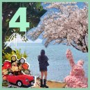 경미용소 - 달서구 | [4월 일상] 이때가 좋을 때였다.