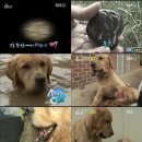 태봉농장 TV리포트
