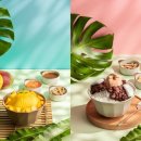 플레져 Cook&Chef