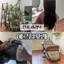 에르타포레(erta foret) | 전포 클리닉 에르타포레 모발부터 헤드스파까지 확실한 케어