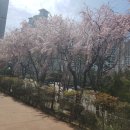 센텀 행정사 사무소 이미지