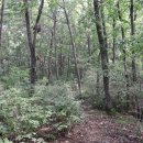 석곡주유소 이미지